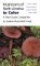 Mushrooms of North America in Color: A Field Guide Companion to Seldom-Illustrated Fungi